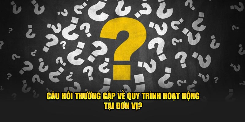 cau hoi thuong gap ve quy trinh hoat dong tai don vi
